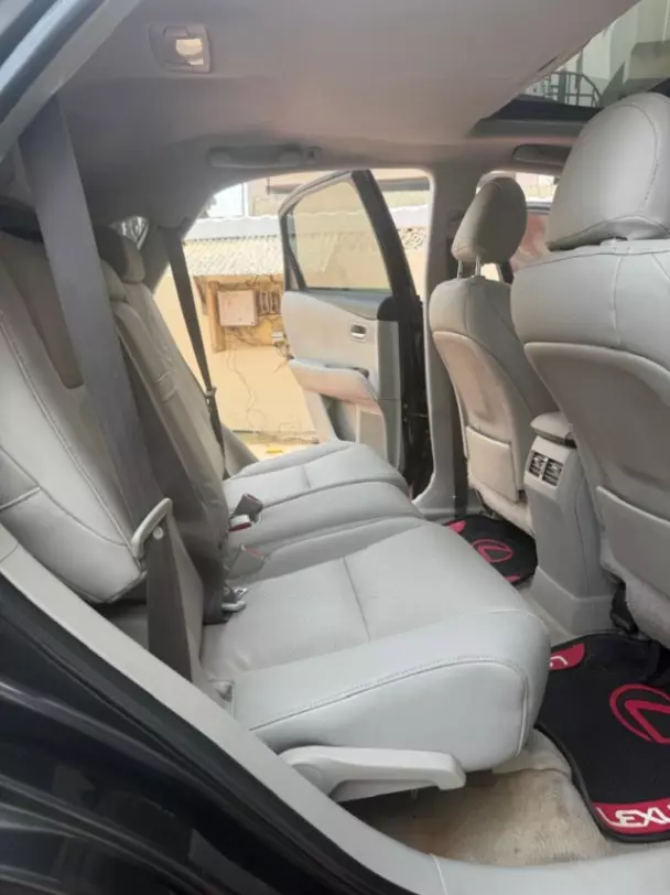 2010 Lexus Nx