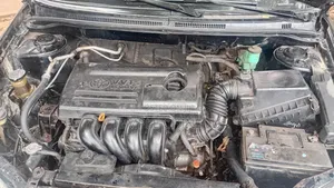 Toyota Corolla 2007