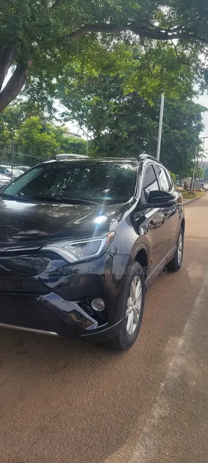 2017 Toyota Rav4 - Image 1