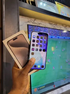 Apple iPhone 15 Pro Max 256 GB Silver