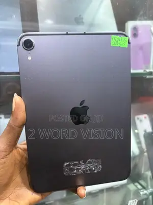Apple iPad Mini 6 (256GB, Cellular and Wi-Fi)