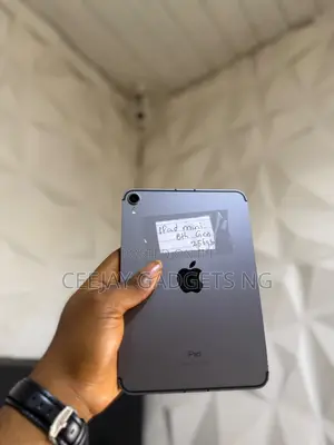 Apple iPad Mini 6 (256GB, Cellular and Wi-Fi)