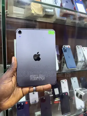 Apple iPad Mini 6 (256GB, Cellular and Wi-Fi)