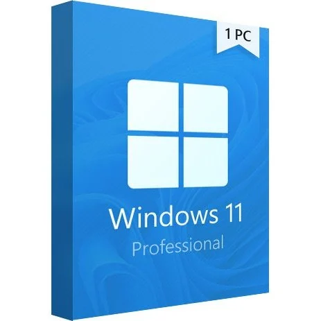 Microsoft Windows 11 Pro 1 User