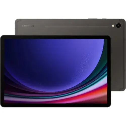 Samsung Galaxy Tab S9 128 GB Gray